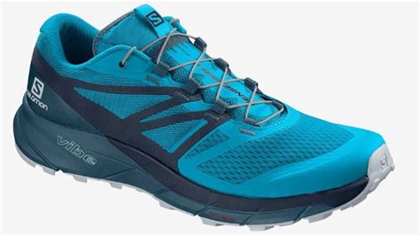 are salomon shoes good for walking